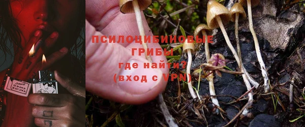 ПСИЛОЦИБИНОВЫЕ ГРИБЫ Верхнеуральск