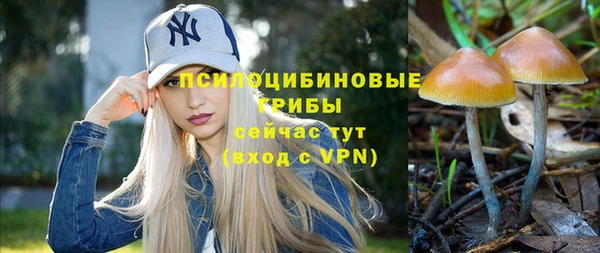 ПСИЛОЦИБИНОВЫЕ ГРИБЫ Верхнеуральск