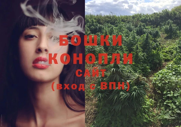 ПСИЛОЦИБИНОВЫЕ ГРИБЫ Верхнеуральск