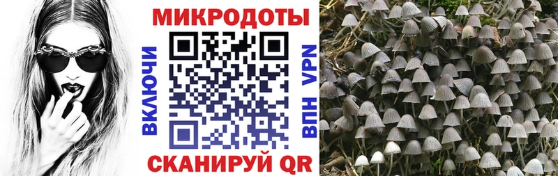 Купить где  Шумиха  Галлюциногенные грибы ЛСД 